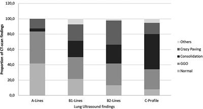 Radio-Histological Correlation of Lung Features in Severe COVID-19 Through CT-Scan and Lung Ultrasound Evaluation